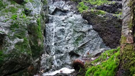 Pequeña-Cascada-Y-Un-Chorro-De-Agua-En-El-Bosque