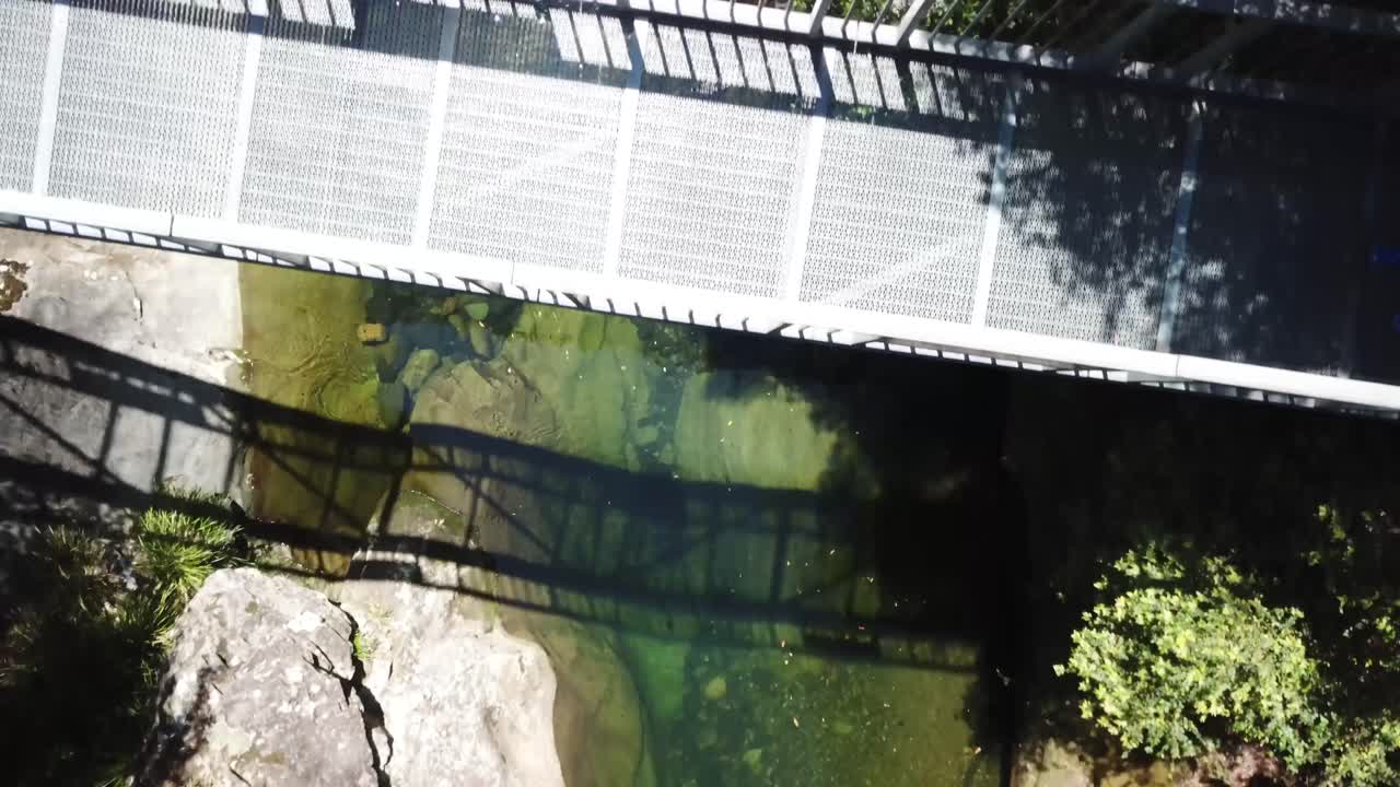 drone vuela sobre un puente de pasarela que cruza un arroyo de montaña en australia