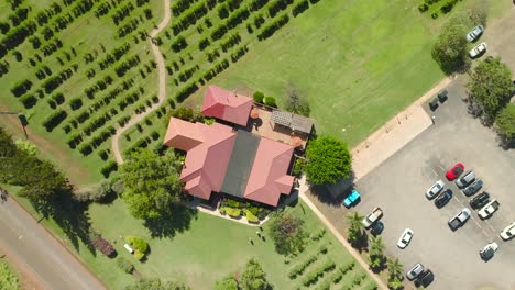 Birdseye-view-of-Coffee-farm-with-tourists-walking-towards-the-ranch