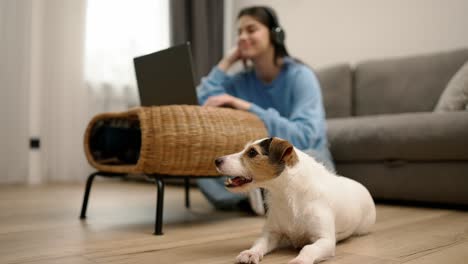 Mujer-Joven-Con-Auriculares-Sentada-En-El-Suelo-Con-Una-Computadora-Portátil,-Adora-A-Su-Perro-Sentado-Junto-A-Ella