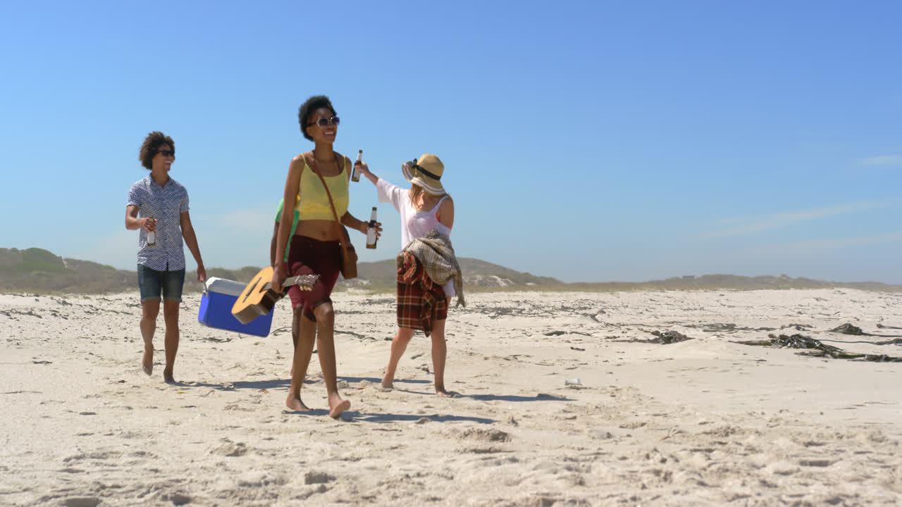 grupo de amigos que llevan el artículo de picnic 4k