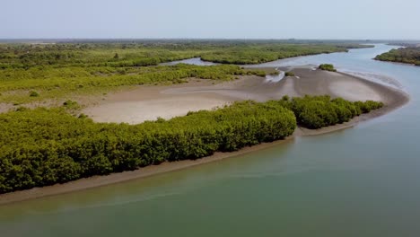 Luftdrohnenpanorama-Des-Gambia-Flusses,-Der-Westafrikanischen-Küste,-Der-Grünen-Pflanzenlandschaft,-Der-Strecke-Und-Des-Ufers