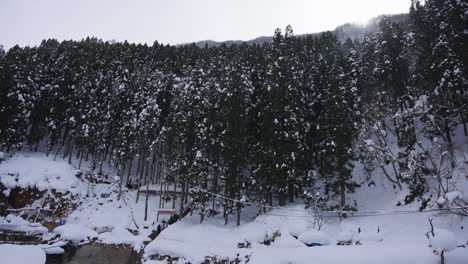 지고쿠다니 산 계곡은 눈으로 여 있습니다.