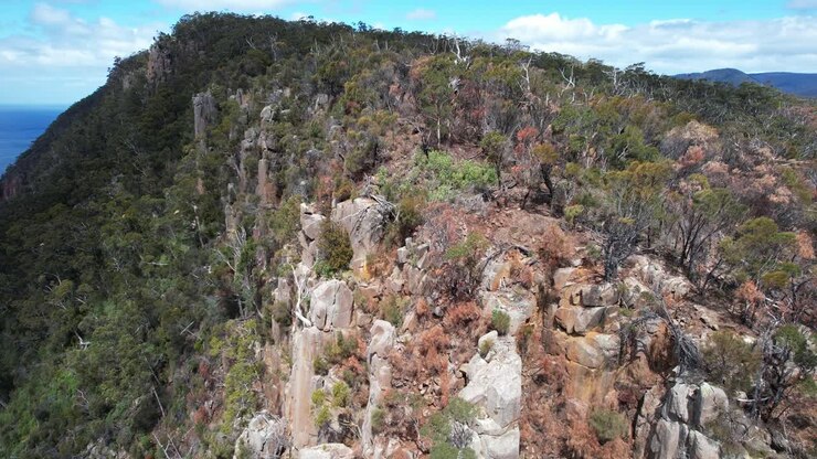 Scogliere di dolerite del Giurassico, punto panoramico Great Cliff, passeggiata a Fluted Cape, South Bruny, Tasmania, Australia - Ripresa aerea