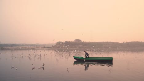 un barquero durante el amanecer en el ghat del río yamuna con botes, aves migratorias, delhi, india