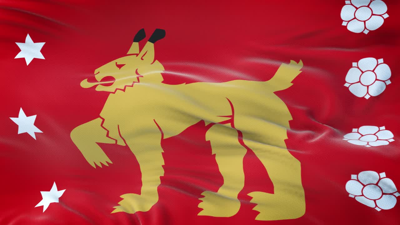 칸타-하메 (핀란드 지역) 발이 바람에 흔들리고 매우 상세한 직물 질감으로.