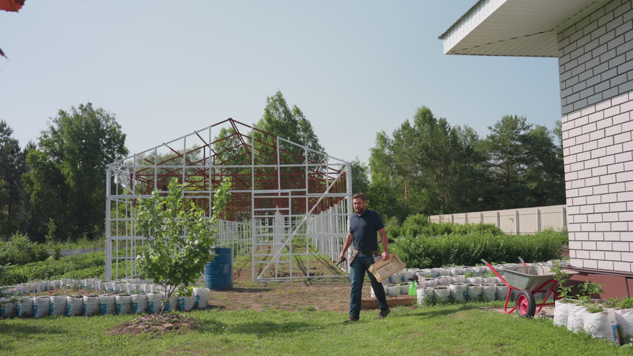 Farmer coming from small farm carrying wooden crate walking across grassy yard past greenhouse frame and wheelbarrow while looking ahead under clear sky