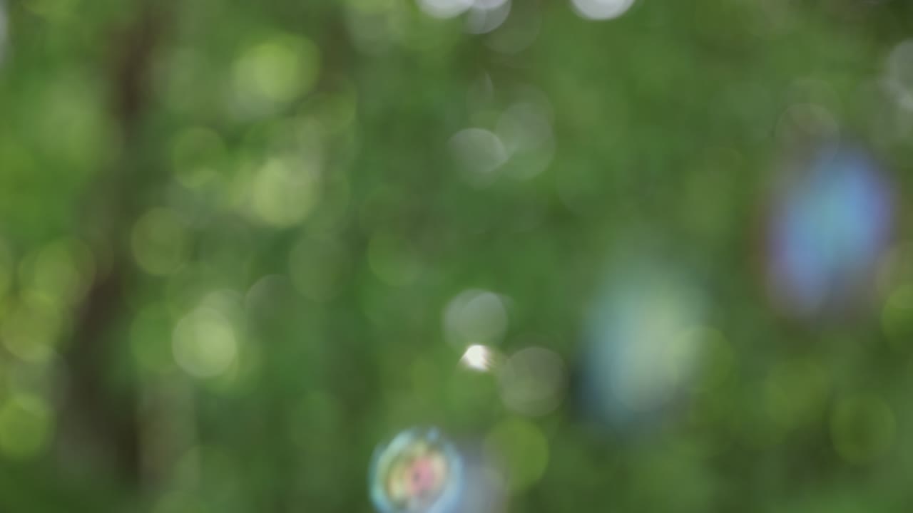 video 4k de burbuja de jabón en cámara lenta volando en el aire con un fondo de árbol verde fuera de enfoque.