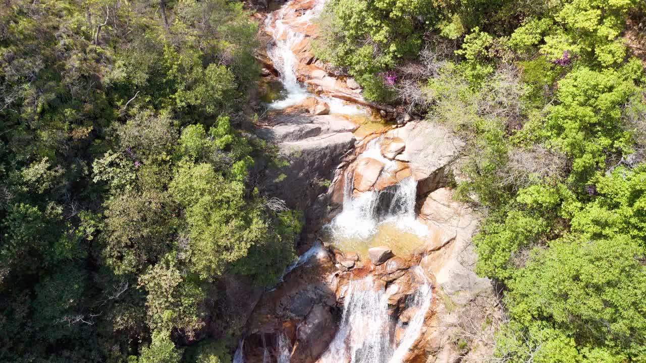 A top-down aerial shot follows a beautiful waterfall as it cascades down rocks in a lush green forest, revealing people relaxing by the pool at the bottom