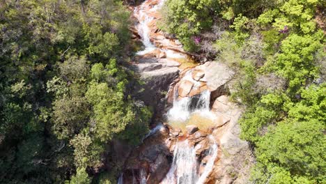 a top-down aerial shot follows a beautiful waterfall as it cascades down rocks in a lush green forest, revealing people relaxing by the pool at the bottom