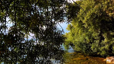 disparo de un camión que revela un barco en el agua azul del lago ohrid en macedonia