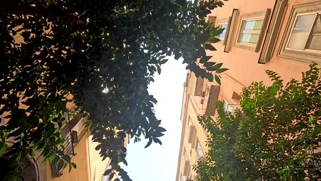 tree-lined alleyway between buildings in naples, italy