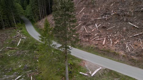 tracking a lone white suv from high up as it drives through a recently clear cut forest, aerial