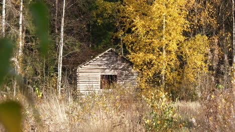 Cabaña-Forestal-Abandonada-Con-Colores-Otoñales-Alrededor,-Vista-Estática-Con-Hojas-En-Primer-Plano