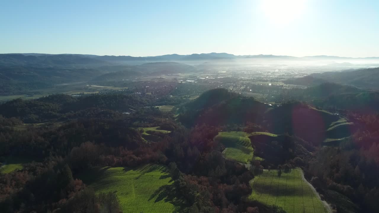 wide aerial drone shot on a small town in the Napa Valley gliding over green vineyards