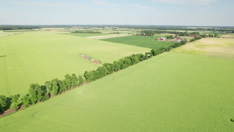 Gerade-Straße-Zwischen-Grünen-Feldern-Im-Sommer,-Distanzparallaxen-Drohnenaufnahme