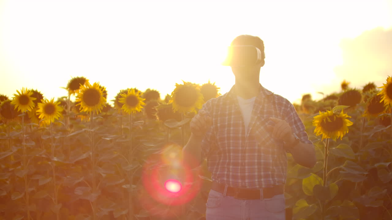 un joven agricultor con camisa a cuadros y vaqueros usa gafas vr en el campo con girasoles para un artículo científico. estas son tecnologías modernas en la noche de verano.