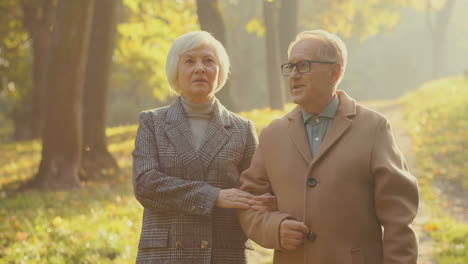 elderly man and woman walking together and talking in a beautiful park at sunset in autumn