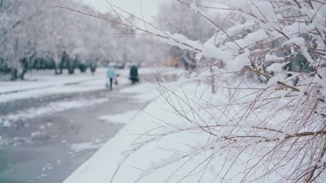 motion along little tree with thin branches against park