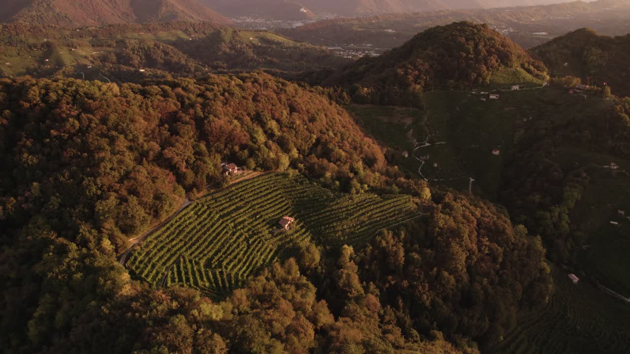 Aerial view over the famous prosecco hills with many vineyard rows and mountains in the background, Italy, at sunrise