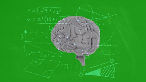 Animación-Del-Cerebro-Giratorio-Y-Fórmulas-Matemáticas-Sobre-Fondo-Verde