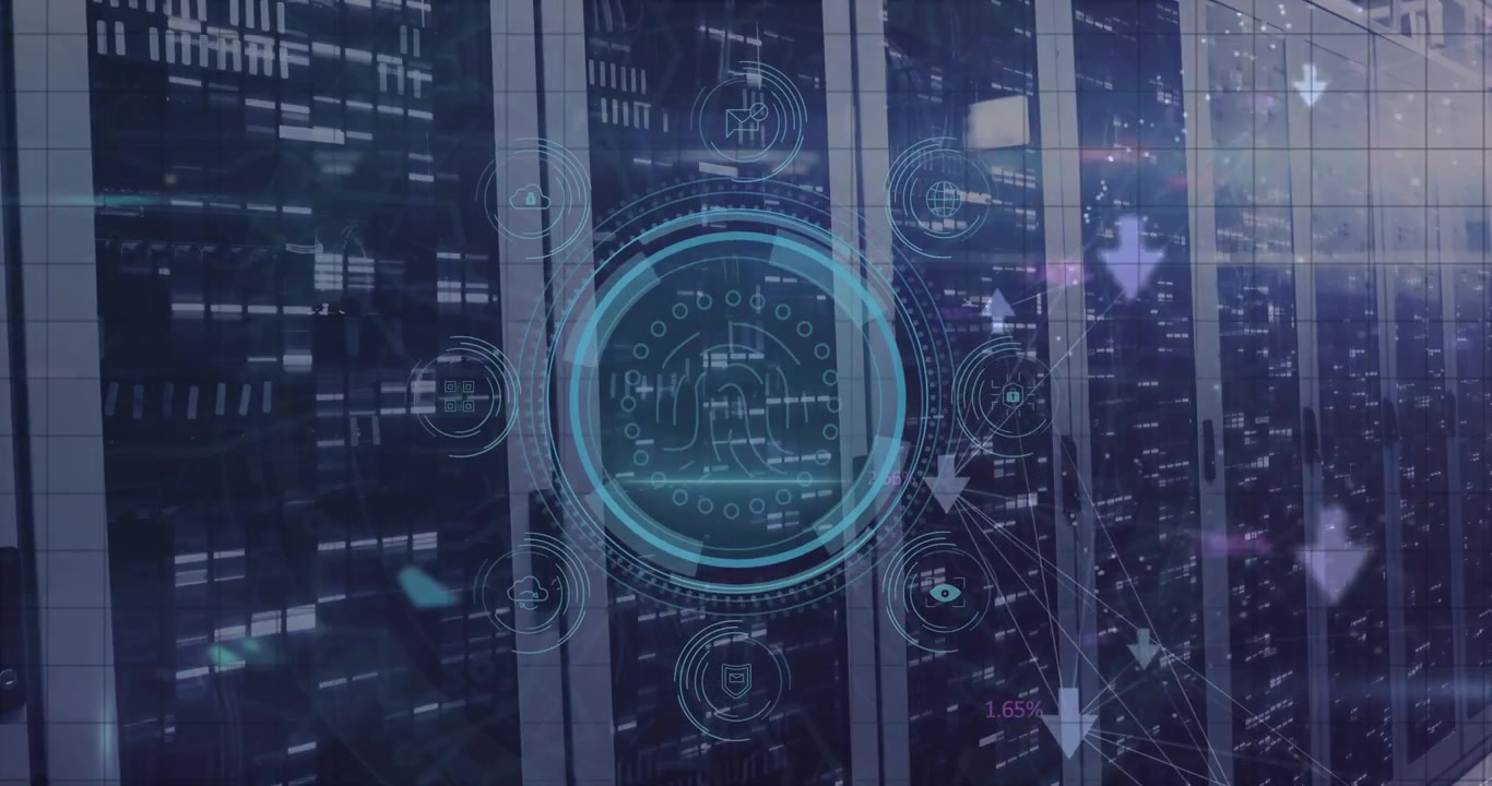 Animation of data processing over computer servers