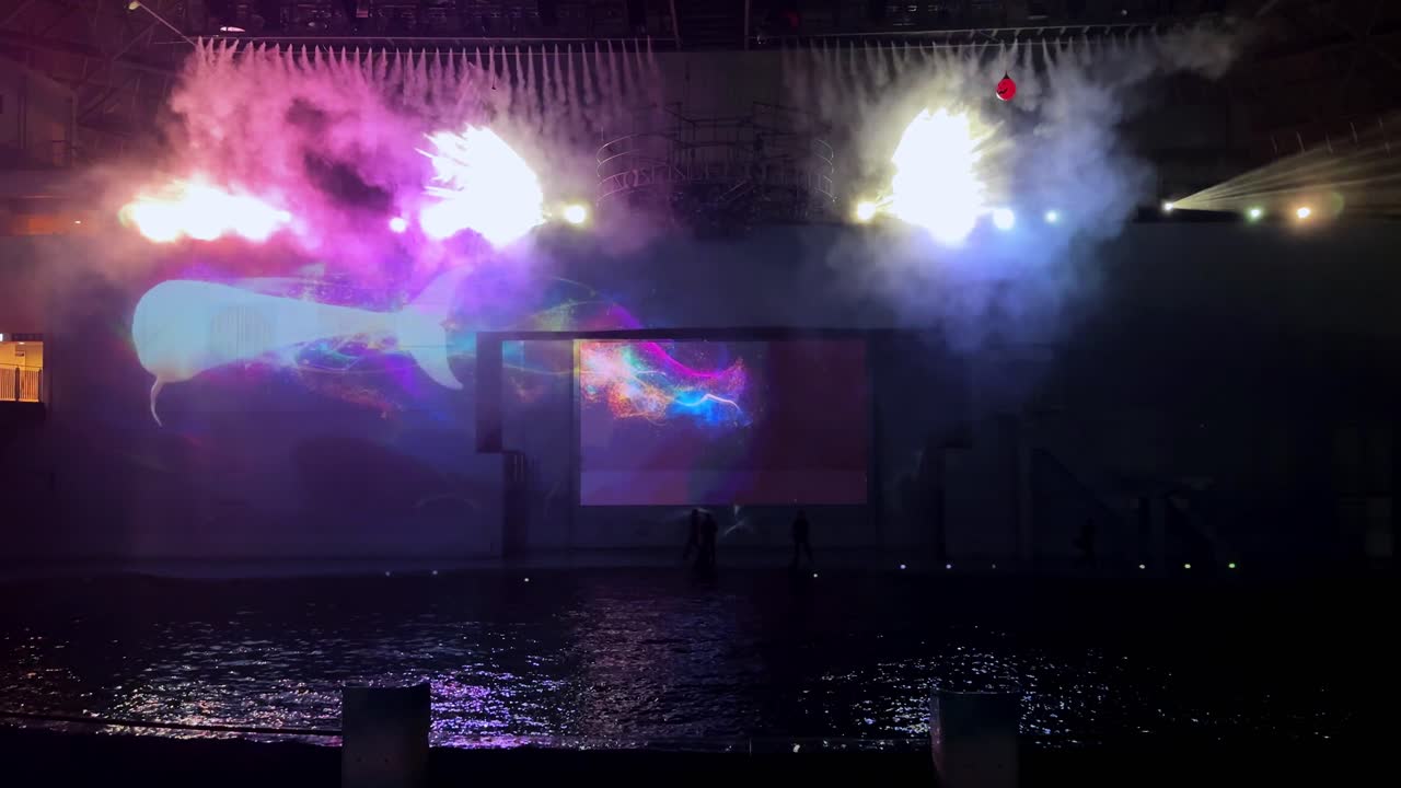 Spectacular Beluga Whale Water Show with Projection Mapping