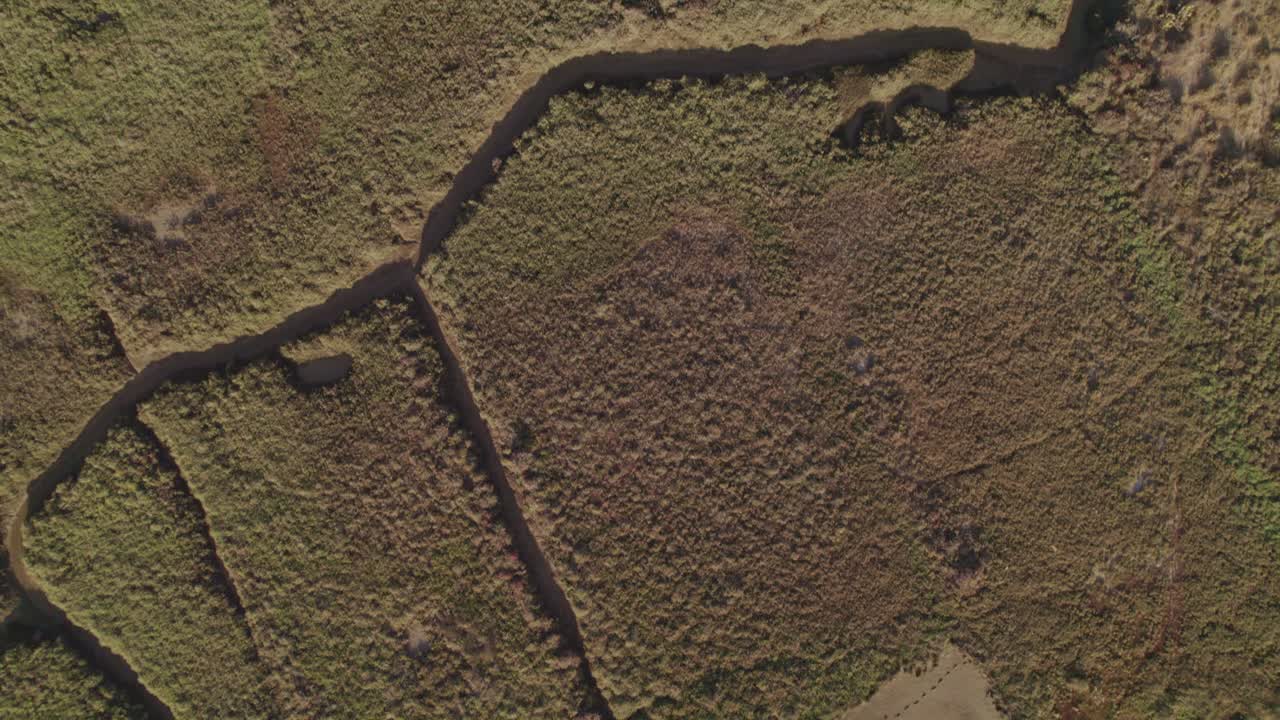 pantanos y marea baja al atardecer