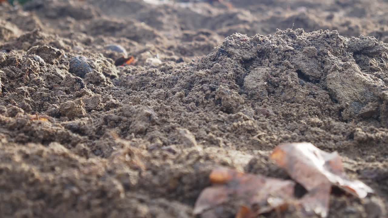 Closeup of dirt and soil