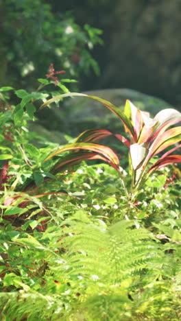 close-up of lush green leaves in a tropical jungle