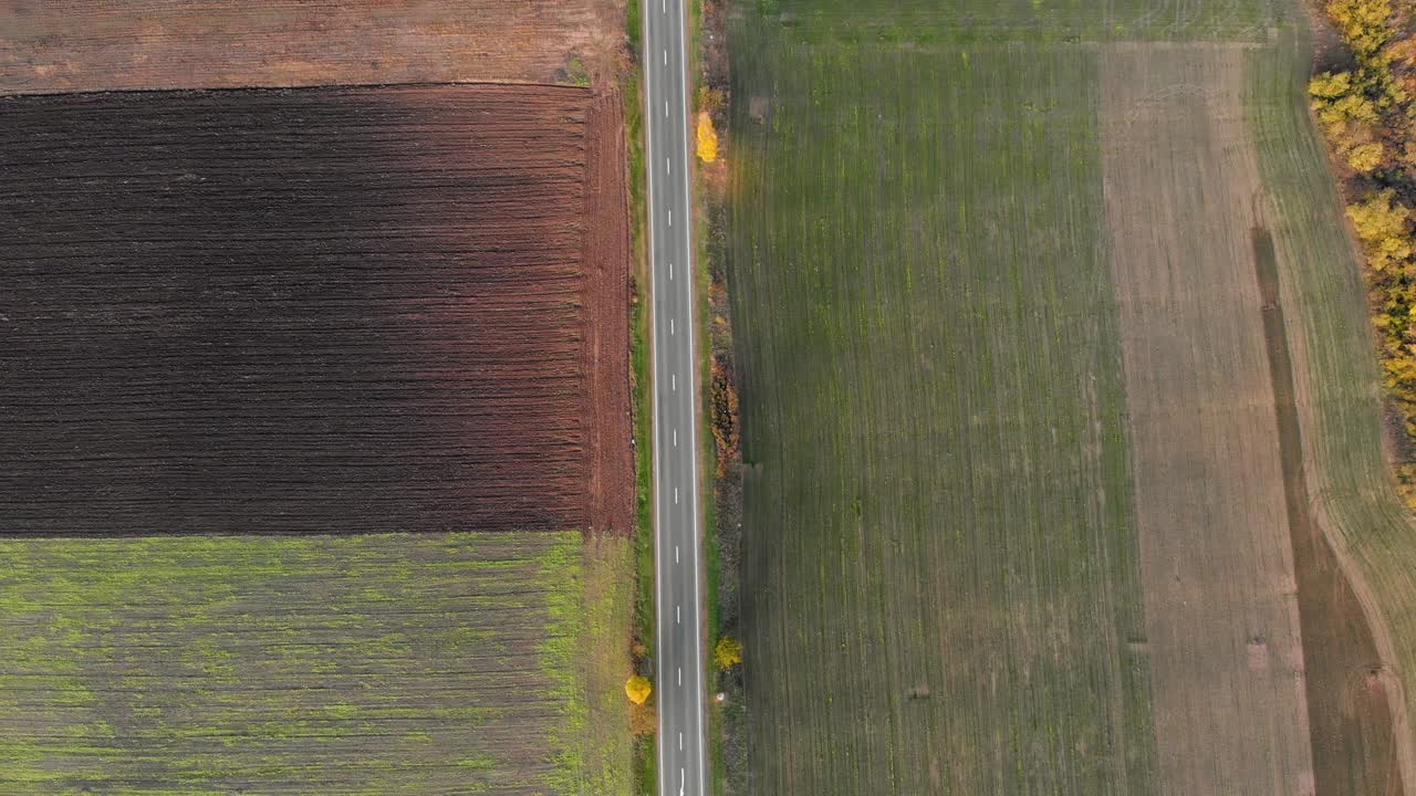 vista aérea de una carretera, en medio de campos coloridos, soleado, día de otoño - marcha atrás, inclinación, disparo de avión no tripulado