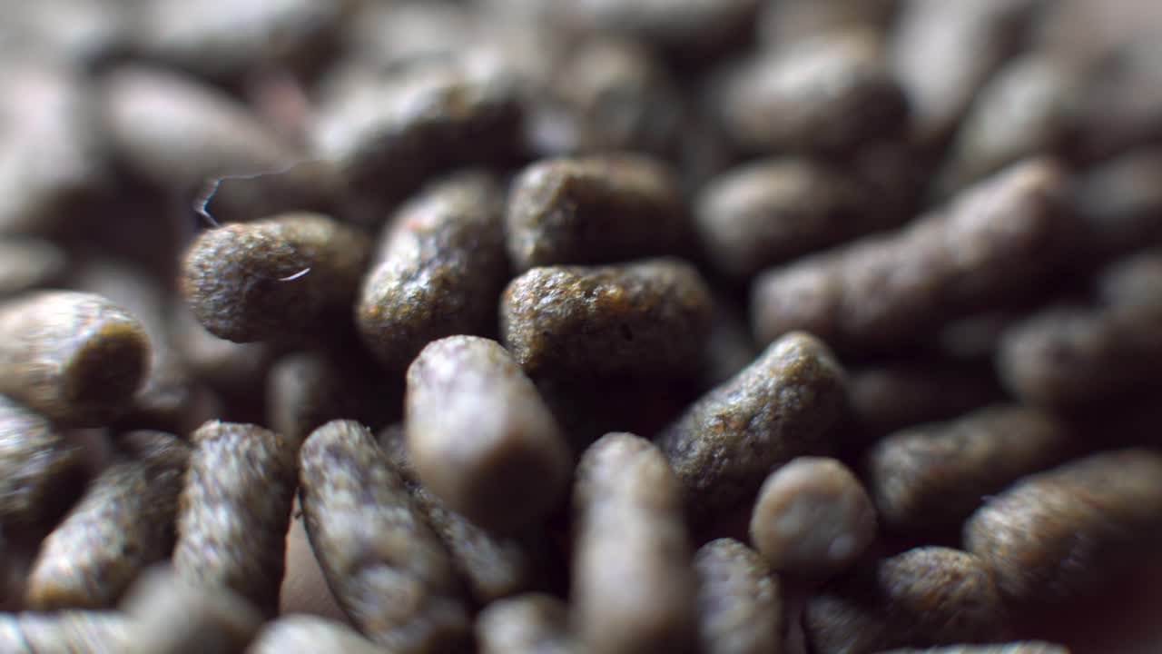 매크로 음식 알갱이 물고기 음식 이동