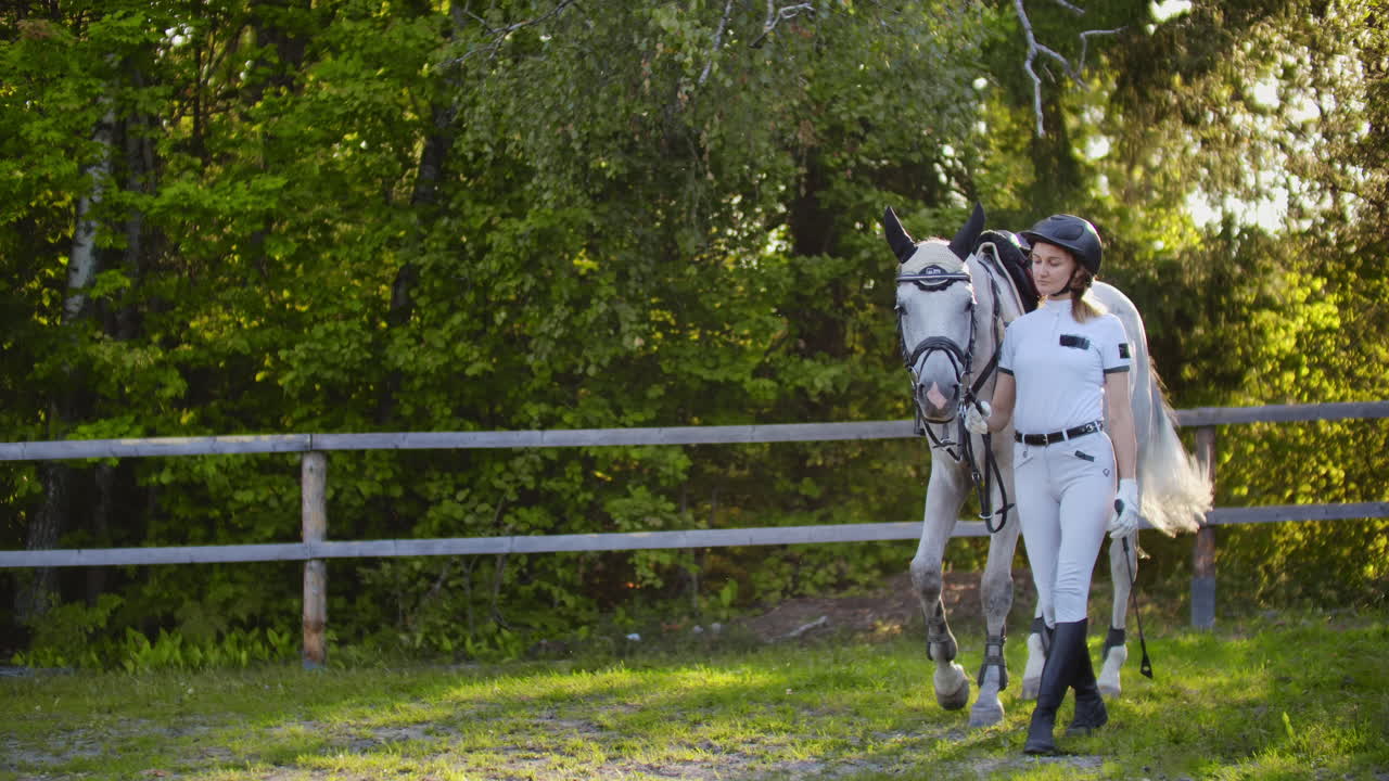 Female with horse on the walk in the horse club. They are walking together in nature female hugs her horse.