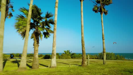 Flying-between-palm-trees-and-kite-surfing-on-the-Texas-coast