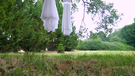 Elegancia-Matutina:-Vestidos-De-Novia-Adornan-Un-árbol-Encantado