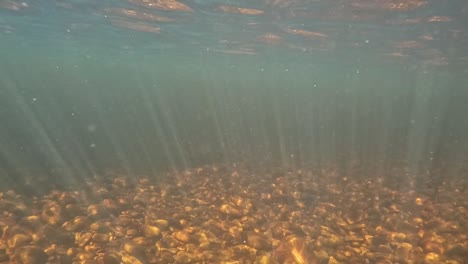 Hermosos-Rayos-De-Sol-Brillando-Bajo-El-Agua-Haciendo-Que-El-Fondo-Y-Las-Partículas-De-Oxígeno-Brillen