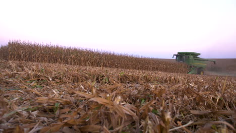 plan large de la récolte du maïs dans le midwest usa