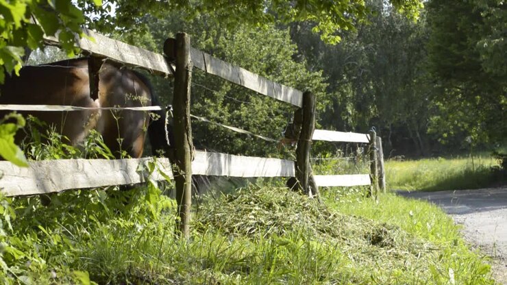 Das braune Pferd hinter dem Zaun neben einer alten staubigen Straße