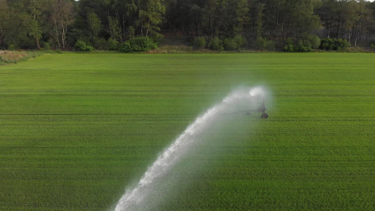 Sprinkler spraying water over crops, farm irrigation system, close aerial view