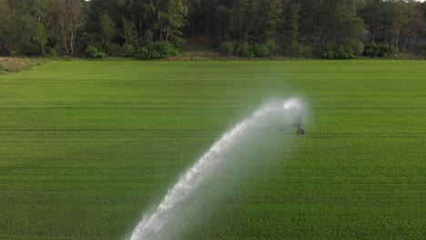 sprinkler spraying water over crops, farm irrigation system, close aerial view