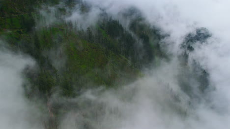 drone enters inside clouds covering forest trees in nepal