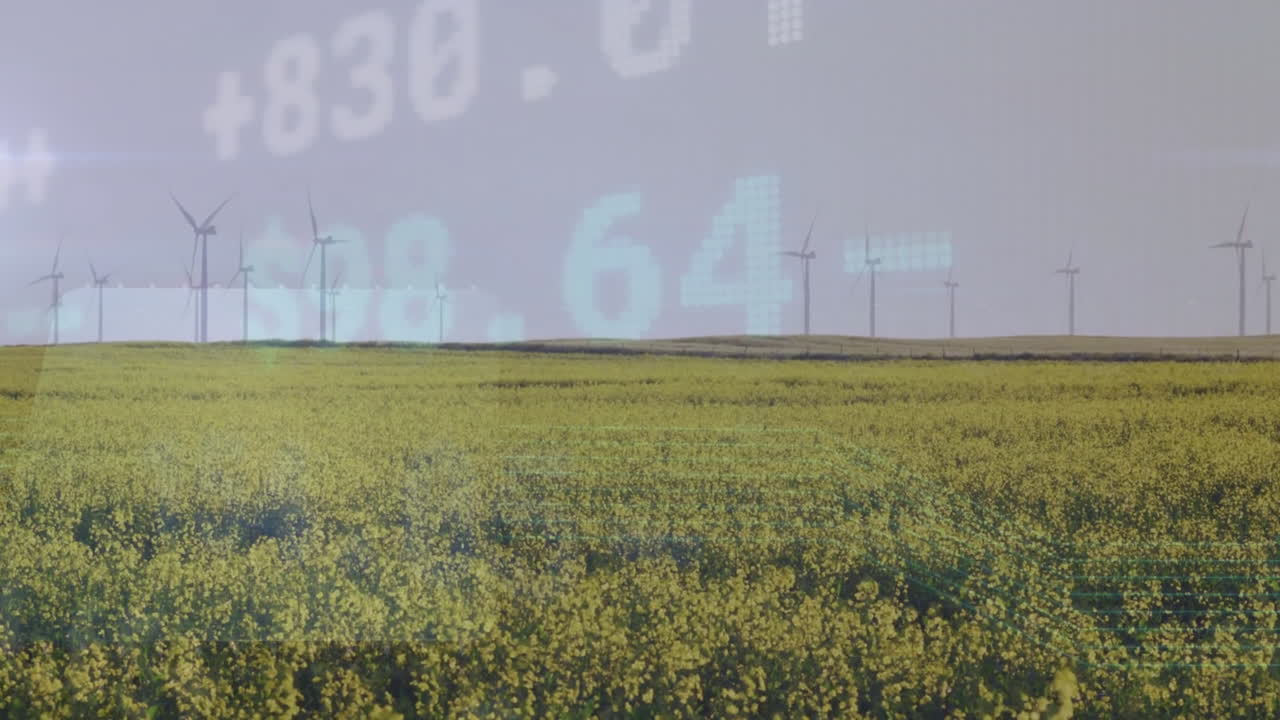 시골의 풍력 터빈 필드에서 금융 데이터 처리의 애니메이션