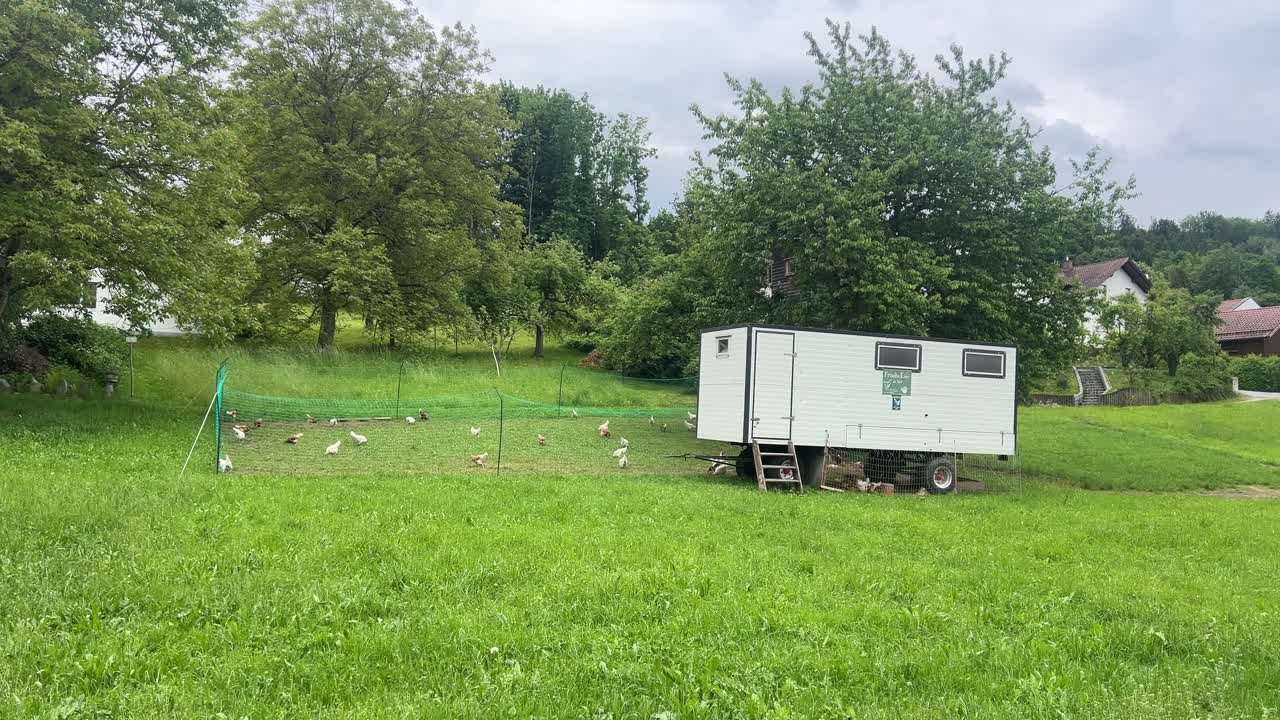 Allevamento biologico di polli nella rurale Baviera con pollame ruspante, pascolo verde, pollaio mobile e contesto di agricoltura sostenibile nella Germania meridionale