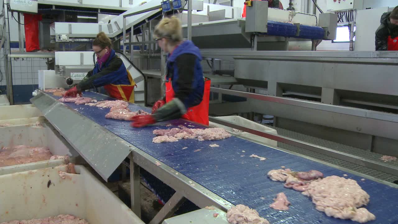 노르웨이 어류 가공 공장 내부 사진