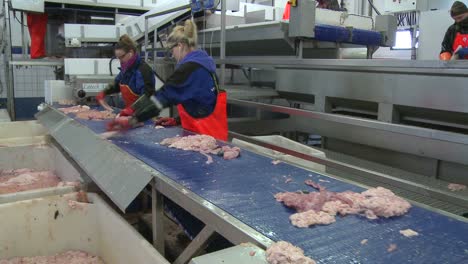 interior shots of a fish processing factory in norway