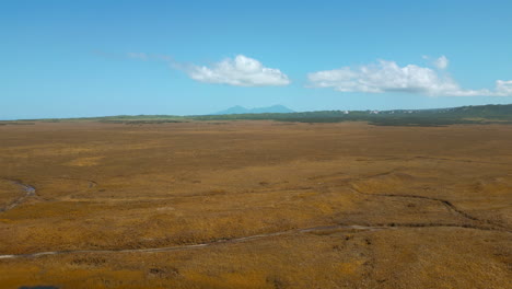 aerial view of a dry, volcanic plain