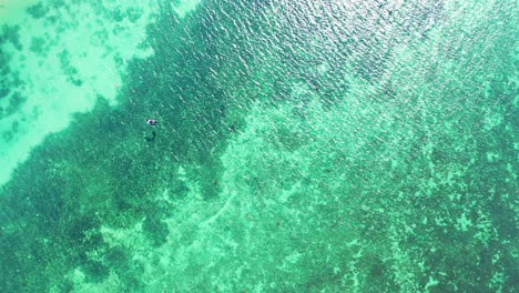 Beautiful-abstract-sea-texture-with-green-turquoise-patterns-of-coral-reefs-under-clear-water-of-calm-lagoon-in-Thailand