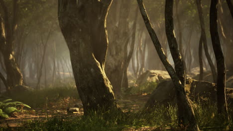 espeluznante magia mística profundo bosque