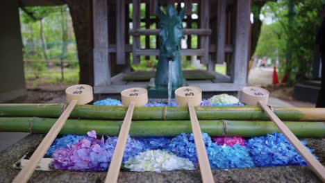 horse chozuya at fujinomori, ablution pavilion with ajisai flowers in summer