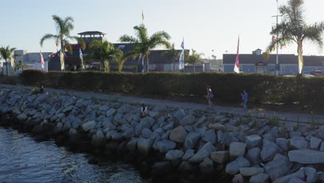 Skaterboy-Con-Pelo-Largo-Y-Rizado-Patinando-En-La-Costa-Tropical-De-Los-ángeles,-Vista-Aérea-De-Drones